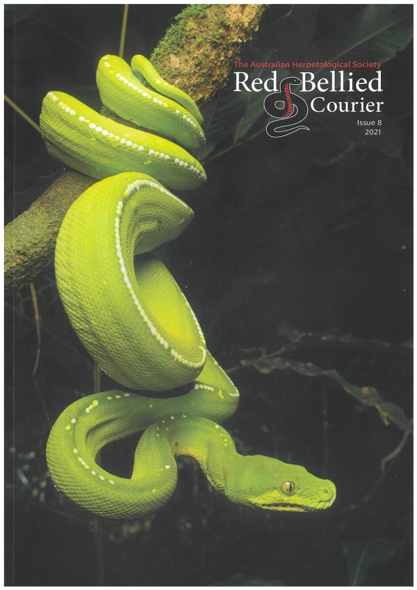 AHS Red Bellied Courier - Issue 8