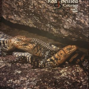 AHS Red Bellied Courier - Issue 11