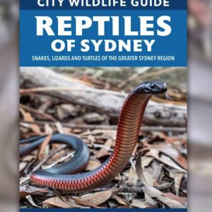 City Wildlife Guide: Reptiles of Sydney